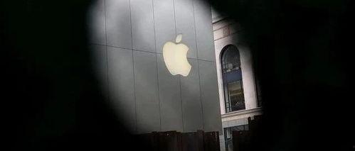 苹果最近的爆料新闻视频,下一代iPhone设计及功能前瞻  第2张